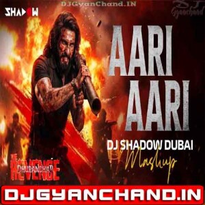 Aari Aari (Bolly Rave Mashup) Dhurandhar - The Revenge Ranveer Singh 2026 DJ Shadow Dubai